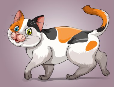 Tri-renklerle sevimli yavru kedi