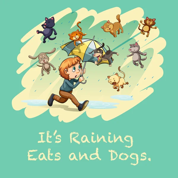 şemsiye çalışan tutan adam