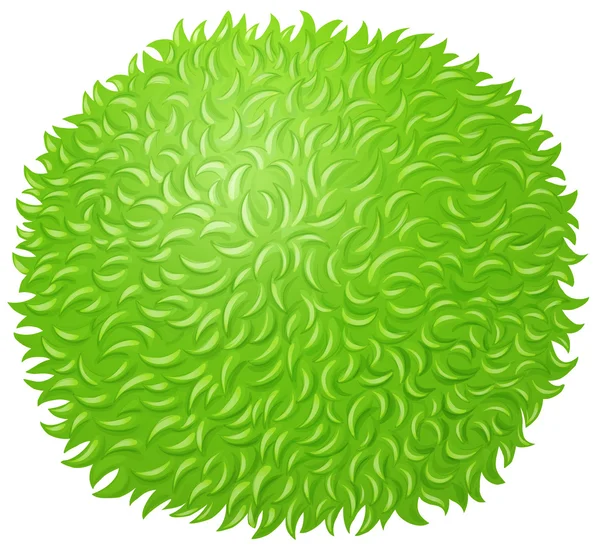 Green fluffy ball on white — Stock Vector