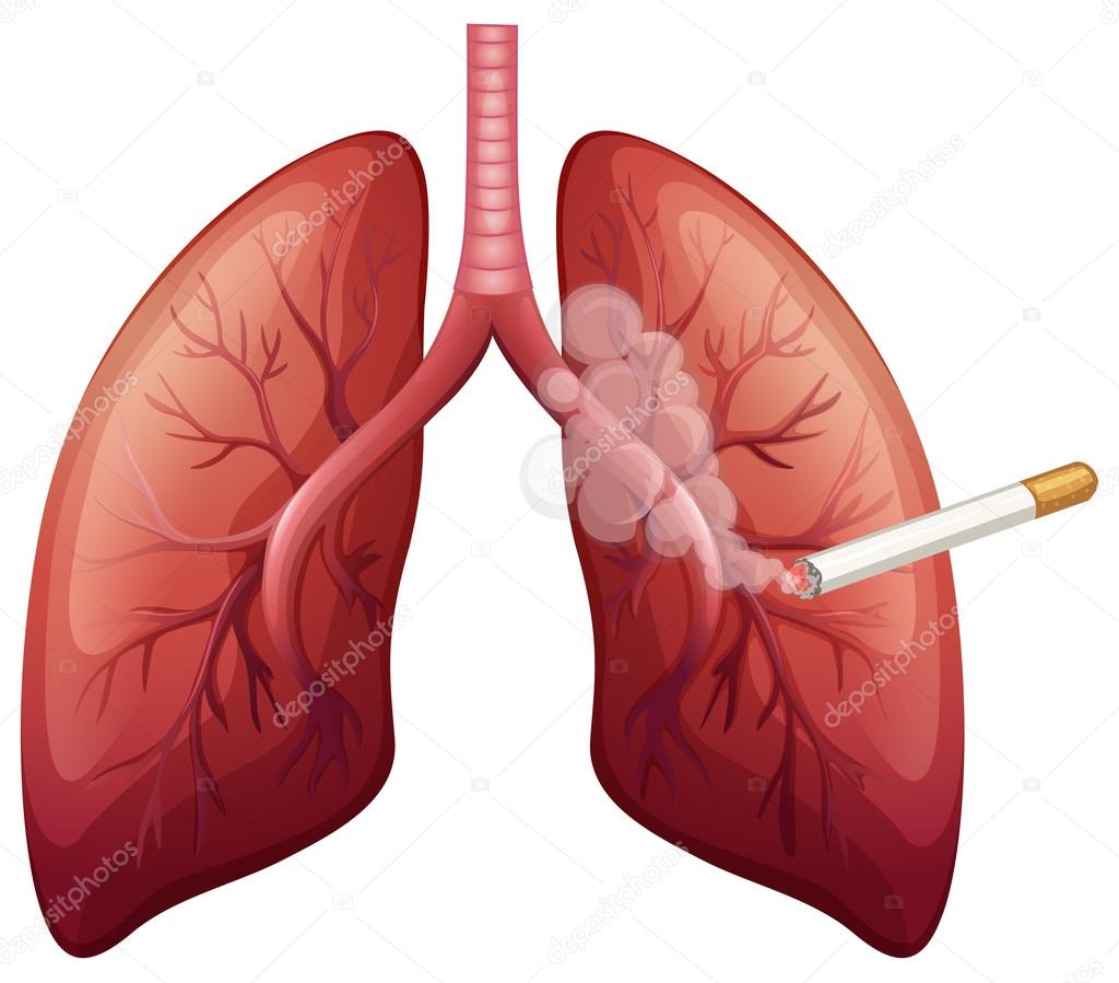 Pulmón dibujo animado imágenes de stock de arte vectorial | Depositphotos Pulmón dibujo animado imágenes de stock de arte vectorial | Depositphotos