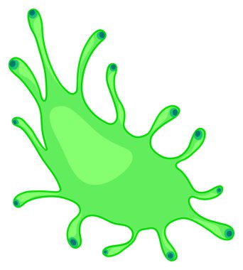 Beyaz bakteri türü