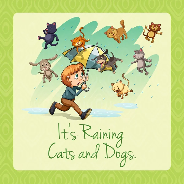 Raining cats and dogs — Stock Vector