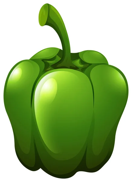 Pimienta verde fresca sobre blanco — Vector de stock