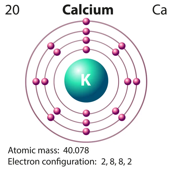 Diagram representation of the element clacium — Stock vektor