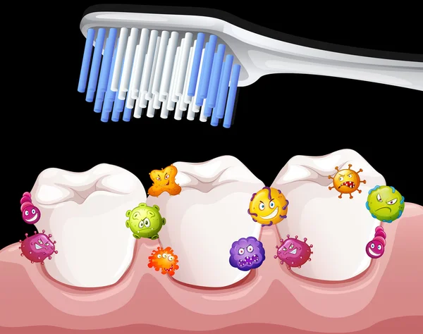 Bacteria between teeth when brushing — Stock Vector