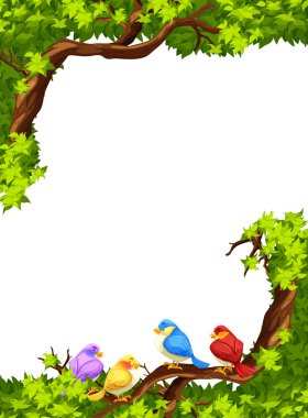 Birds on the branch of a tree