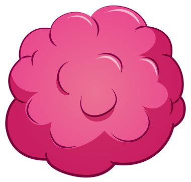 Beyaz yuvarlak bakteri