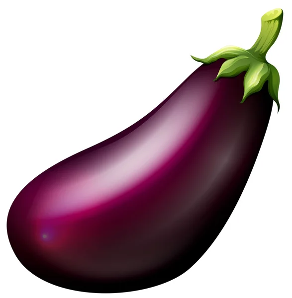 Purple eggplant on white — Stock Vector