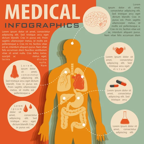 Medizinische Infografik mit menschlicher Anatomie — Stockvektor