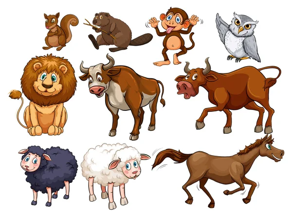 Dzikie zwierzęta w różnych typów — Wektor stockowy