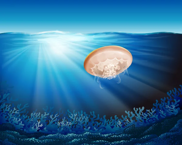 Des méduses sous l'eau — Image vectorielle