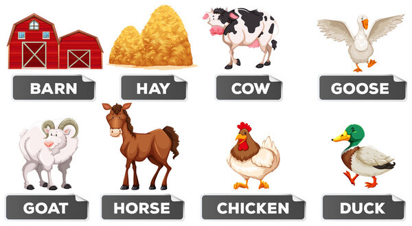 Элементы фермы с картинкой и словом
