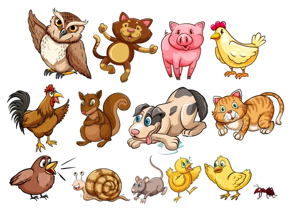 Diferentes tipos de animales de granja y mascotas — Vector de stock