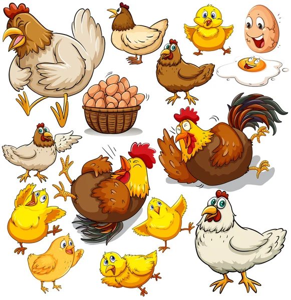 Kuře a čerstvá vejce — Stockový vektor
