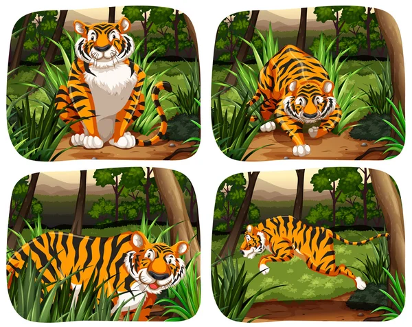 Тигр, живущий в джунглях — стоковый вектор