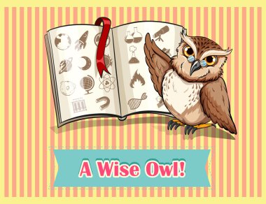 Baykuş bilim kitap okuma