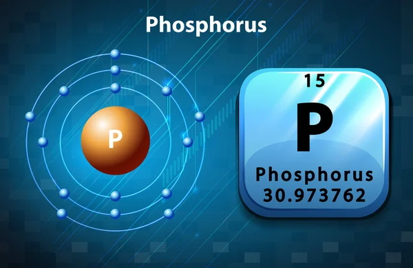 Kartičky atom fosforu — Stockový vektor