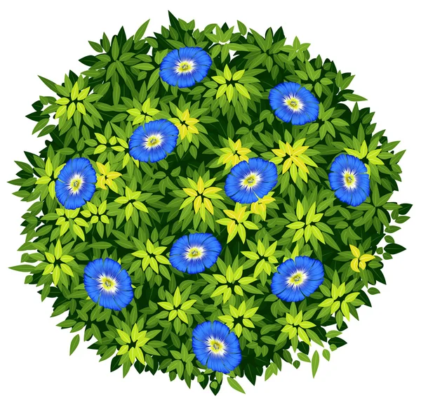 Fiore blu su cespuglio verde — Vettoriale Stock