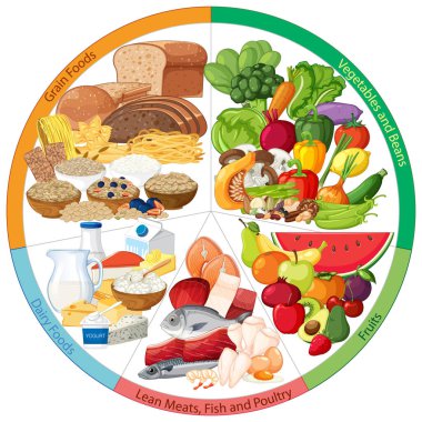 Colorful vector of balanced food plate with grains, vegetables, fruits, dairy, and lean proteins.