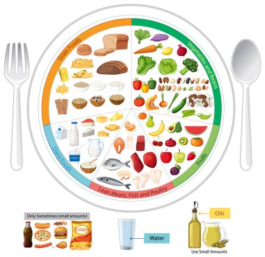 Colorful vector of balanced food plate with labeled sections, food groups, icons, and recommendations.