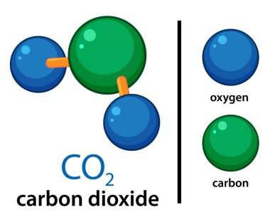 Etiketli karbon ve oksijen atomlarıyla karbondioksit molekülünün vektör çizimi, düz stil