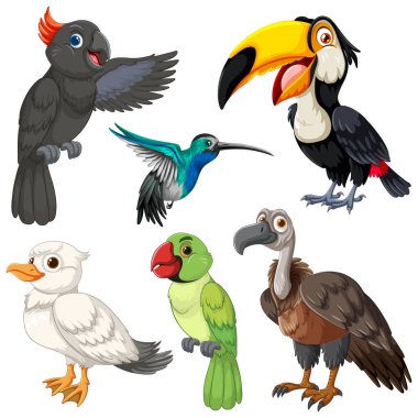 Canlı vektör karikatür tarzında, temiz beyaz arkaplan ile izole edilmiş altı egzotik kuş.