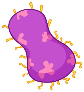 Beyaz üzerine pembe bakteri