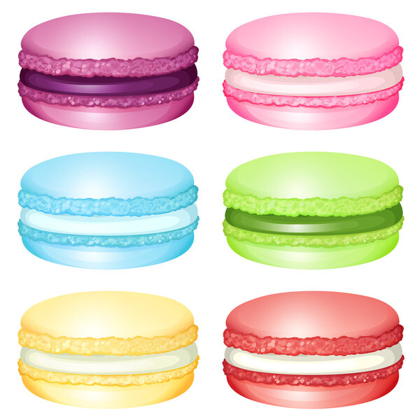 Macaron with different flavors