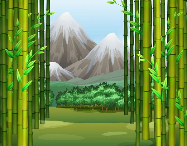 Bambu orman Dağları arka plan ile — Stok Vektör