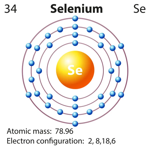 Symbol a elektronové diagram pro selenu — Stockový vektor