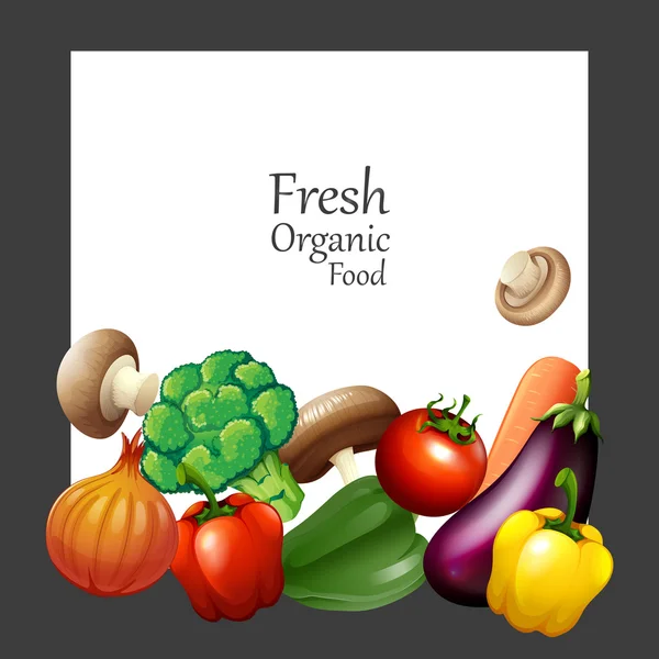 Fresh vegetables and banner — Stock Vector