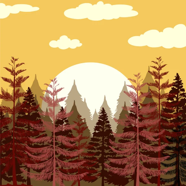 Pine forest at sunset — Stock Vector
