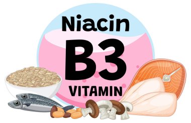 Yüksek miktarda B3 vitamini içeren sağlıklı yiyecekler, düz vektör stili, temiz kompozisyon, parlak renkler