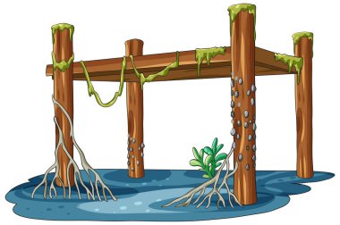 Sakin suda algler, midyeler ve mangrov kökleri olan ahşap iskele direkleri.