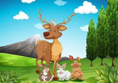 Tarladaki vahşi hayvanlar