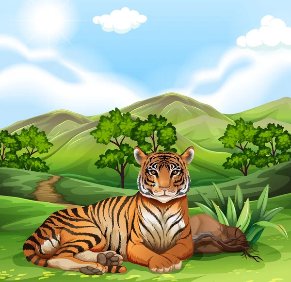 Tigre sentado en el campo — Vector de stock