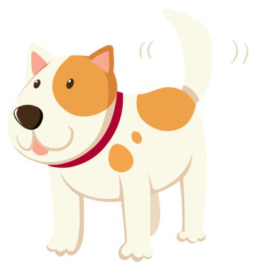 Küçük köpek kuyruk sallama