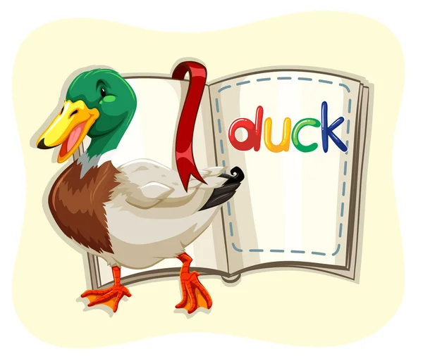 Little duck and a book — Stock Vector