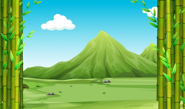 Scène nature avec bambou et collines — Image vectorielle