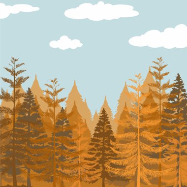 Gündüz çam ormanı