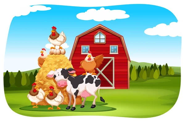 Animales de granja en el campo — Vector de stock