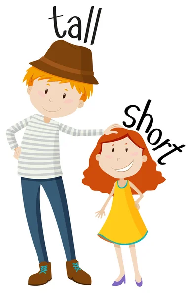 Opposite adjectives tall and short — Stock Vector