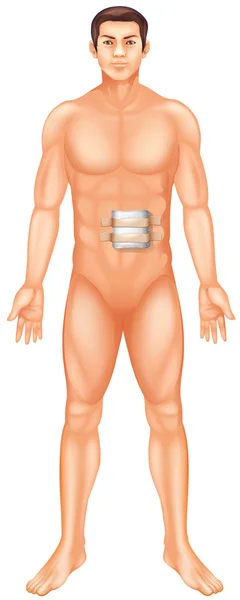 Uomo con lesioni allo stomaco — Vettoriale Stock