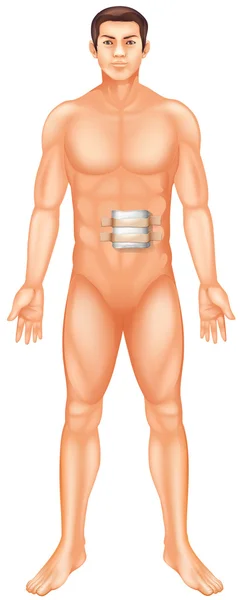 Mann mit Verletzungen am Bauch — Stockvektor