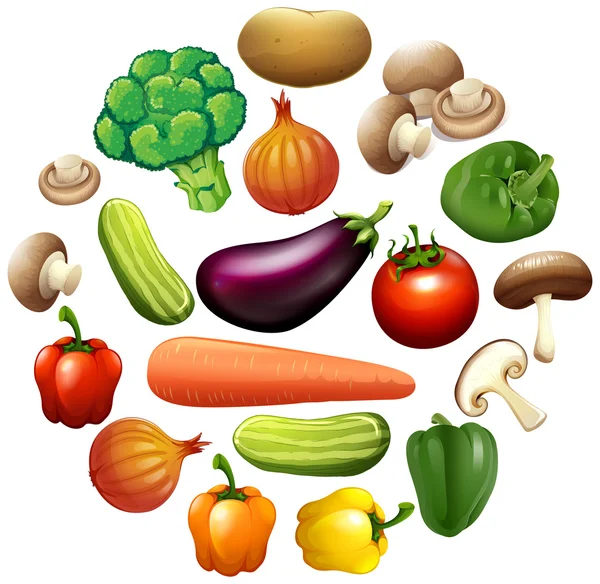 Différents types de légumes — Image vectorielle