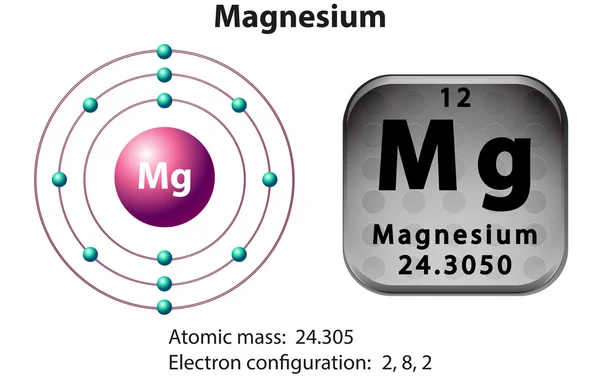 Symbol and electron diagram for Magnesium — Stock Vector