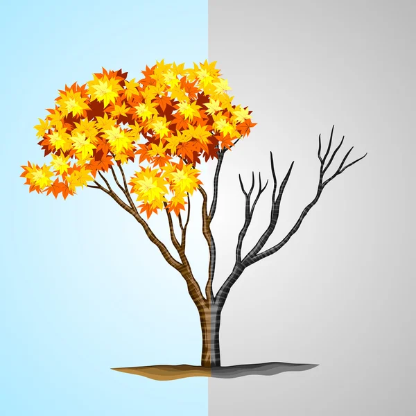 Árbol mitad con hojas y mitad sin — Vector de stock