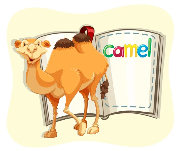 Söt kamel och en bok — Stock vektor