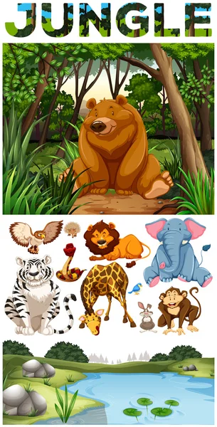 Wild animals living in the jungle — Stock Vector