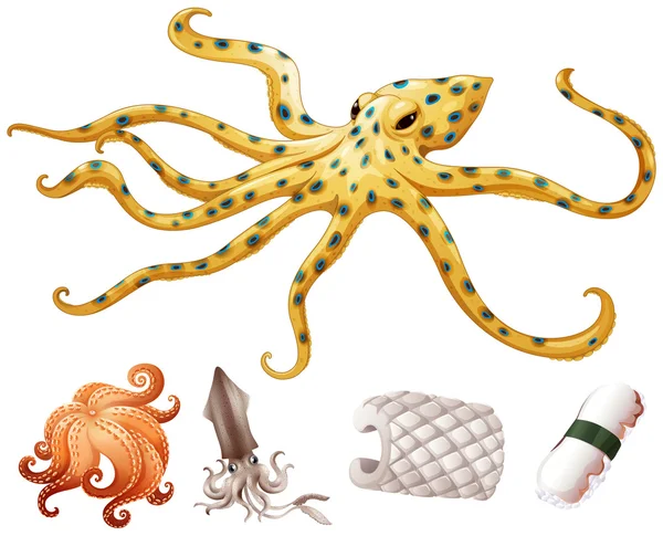 Calamares y pulpos de marisco — Archivo Imágenes Vectoriales